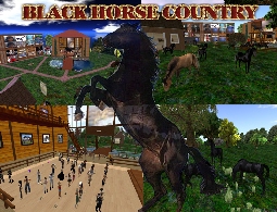 Black Horse Country